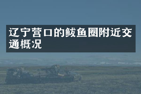 辽宁营口的鲅鱼圈附近交通概况