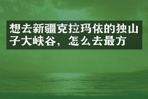 想去新疆克拉玛依的独山子大峡谷，怎么去最方便