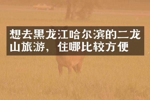 想去黑龙江哈尔滨的二龙山旅游，住哪比较方便