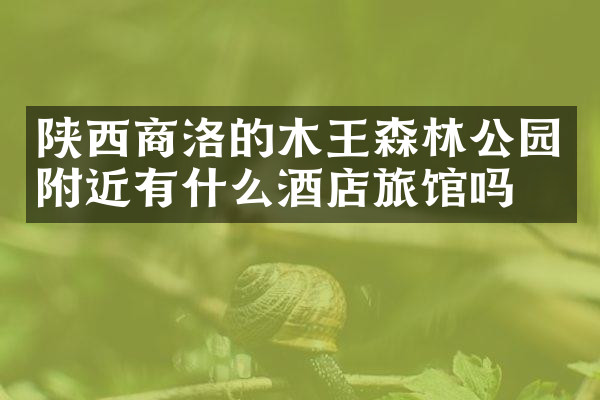 陕西商洛的木王森林公园附近有什么酒店旅馆吗