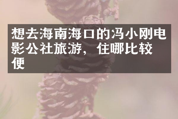 想去海南海口的冯小刚电影公社旅游，住哪比较方便