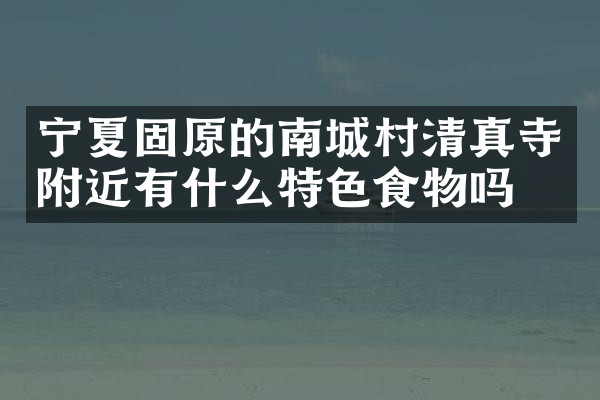 宁夏固原的南城村清真寺附近有什么特色食物吗