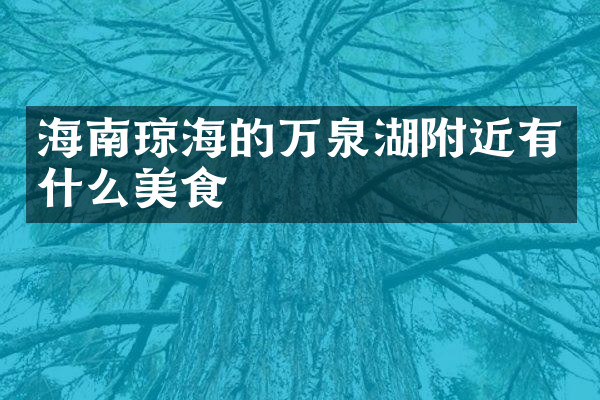 海南琼海的万泉湖附近有什么美食