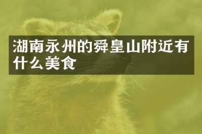湖南永州的舜皇山附近有什么美食
