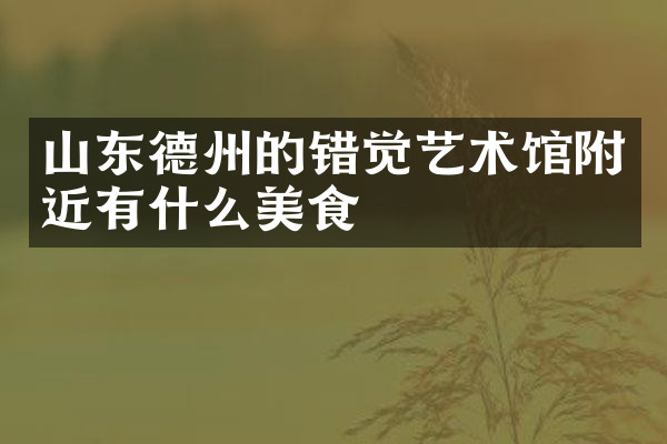 山东德州的错觉艺术馆附近有什么美食
