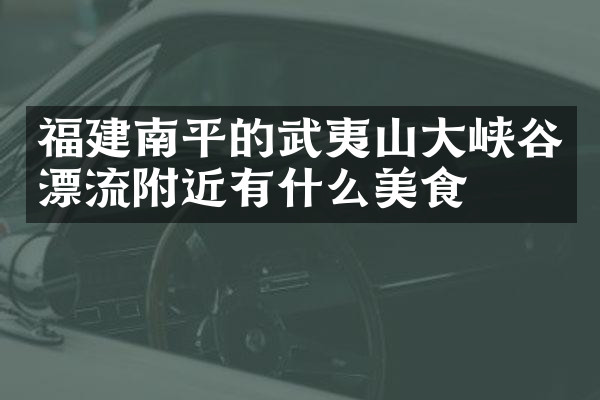 福建南平的武夷山大峡谷漂流附近有什么美食