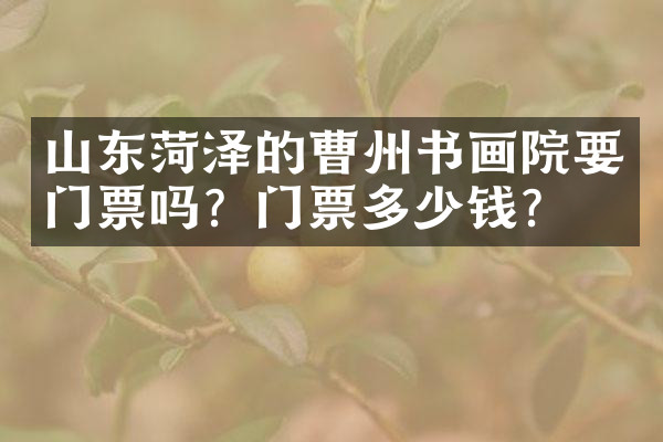 山东菏泽的曹州书画院要门票吗？门票多少钱？