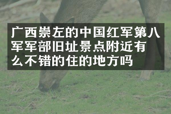 广西崇左的中国红军第八军军部旧址景点附近有什么不错的住的地方吗