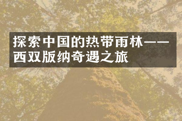 探索中国的热带雨林——西双版纳奇遇之旅
