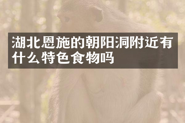 湖北恩施的朝阳洞附近有什么特色食物吗