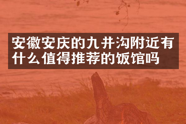 安徽安庆的九井沟附近有什么值得推荐的饭馆吗