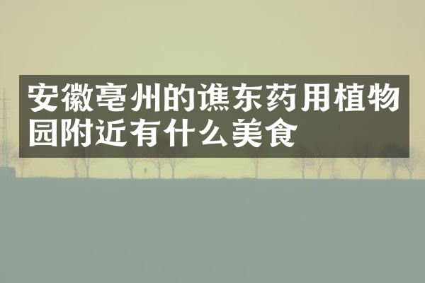 安徽亳州的谯东药用植物园附近有什么美食