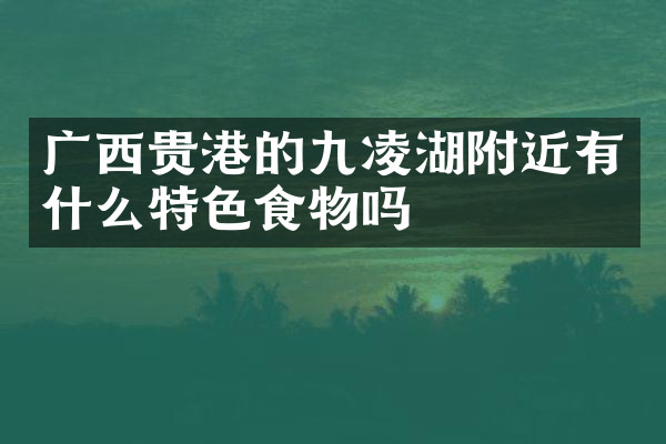 广西贵港的九凌湖附近有什么特色食物吗