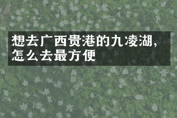想去广西贵港的九凌湖，怎么去最方便