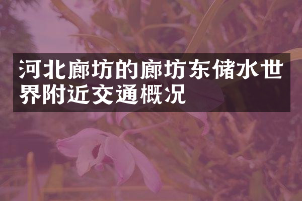 河北廊坊的廊坊东储水世界附近交通概况