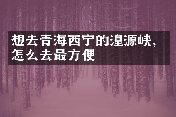 想去青海西宁的湟源峡，怎么去最方便