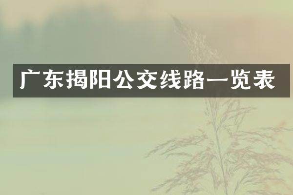 广东揭阳公交线路一览表