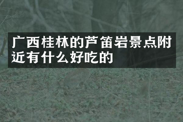 广西桂林的芦笛岩景点附近有什么好吃的