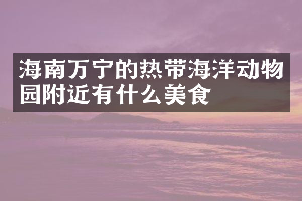 海南万宁的热带海洋动物园附近有什么美食