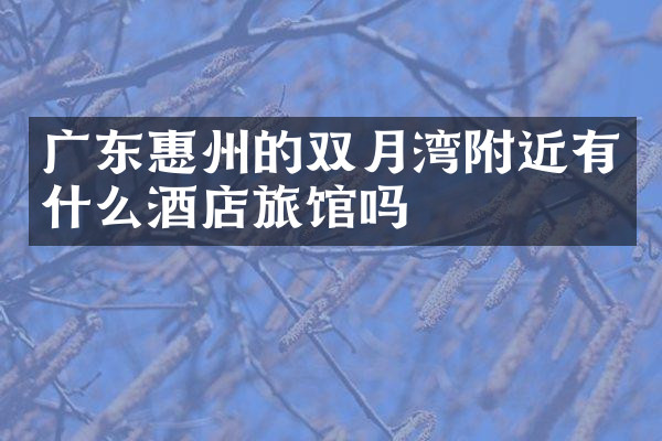 广东惠州的双月湾附近有什么酒店旅馆吗