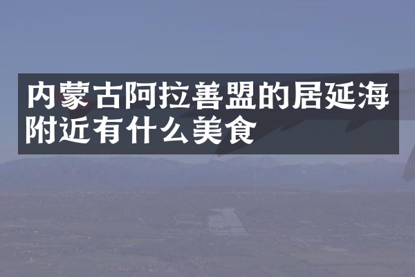 内蒙古阿拉善盟的居延海附近有什么美食