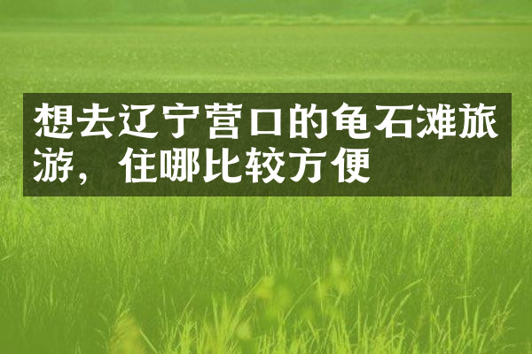 想去辽宁营口的龟石滩旅游，住哪比较方便