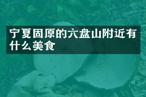 宁夏固原的六盘山附近有什么美食
