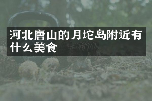 河北唐山的月坨岛附近有什么美食