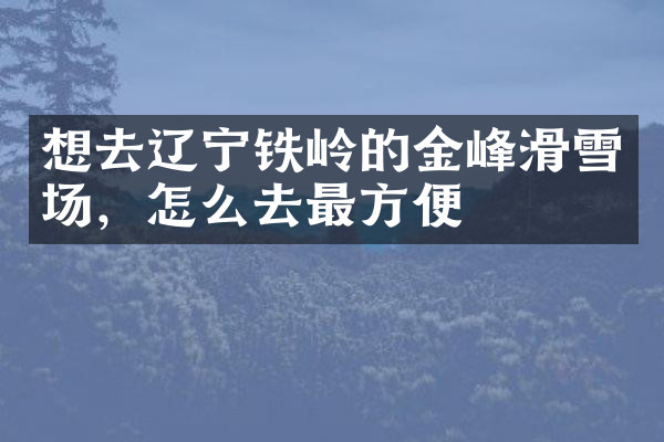 想去辽宁铁岭的金峰滑雪场，怎么去最方便