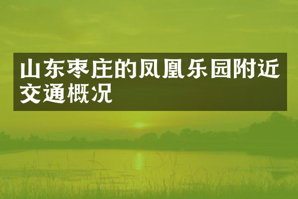 山东枣庄的凤凰乐园附近交通概况