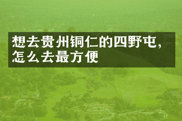 想去贵州铜仁的四野屯，怎么去最方便
