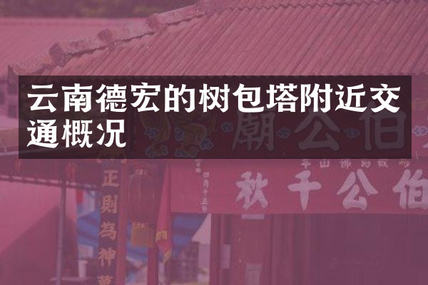云南德宏的树包塔附近交通概况
