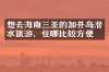 想去海南三亚的加井岛潜水旅游，住哪比较方便