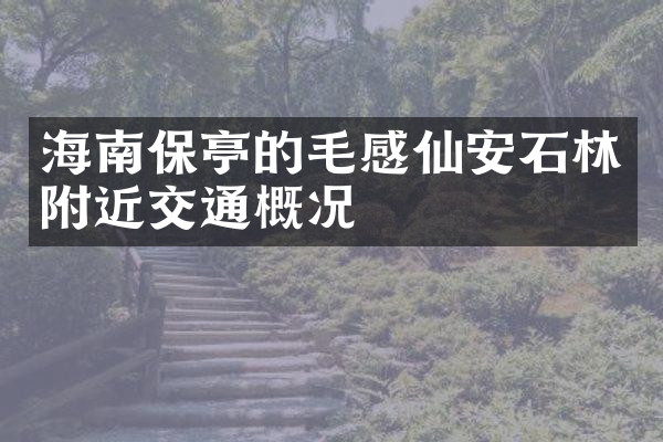 海南保亭的毛感仙安石林附近交通概况