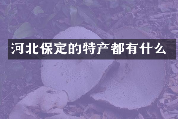 河北保定的特产都有什么