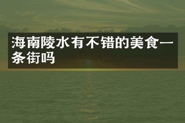 海南陵水有不错的美食一条街吗