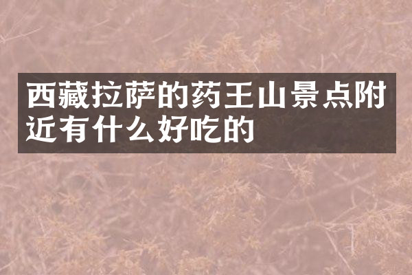 西藏拉萨的药王山景点附近有什么好吃的