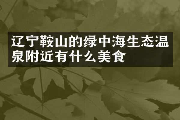 辽宁鞍山的绿中海生态温泉附近有什么美食
