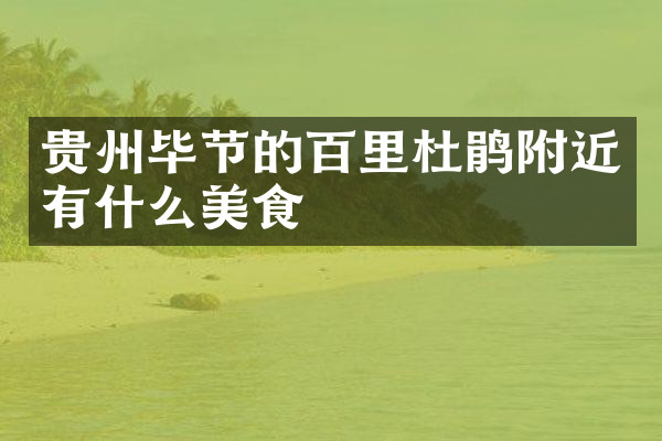 贵州毕节的百里杜鹃附近有什么美食