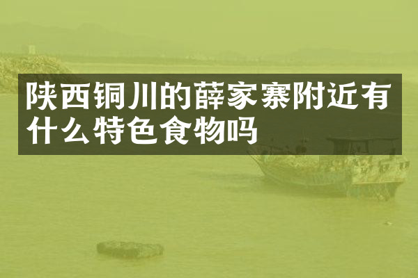 陕西铜川的薛家寨附近有什么特色食物吗