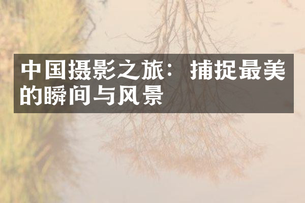 中国摄影之旅：捕捉最美的瞬间与风景