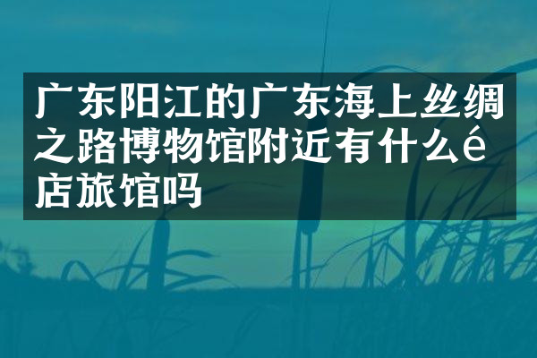 广东阳江的广东海上丝绸之路博物馆附近有什么酒店旅馆吗