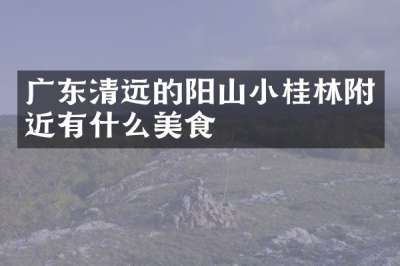 广东清远的阳山小桂林附近有什么美食