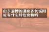 山东淄博的涌泉齐长城附近有什么特色食物吗