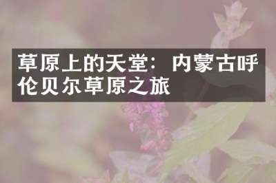 草原上的天堂：内蒙古呼伦贝尔草原之旅
