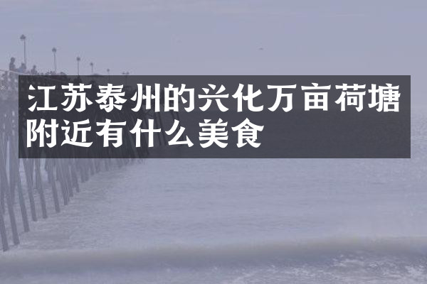 江苏泰州的兴化万亩荷塘附近有什么美食