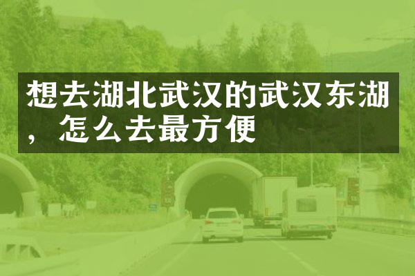想去湖北武汉的武汉东湖，怎么去最方便