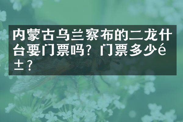 内蒙古乌兰察布的二龙什台要门票吗？门票多少钱？