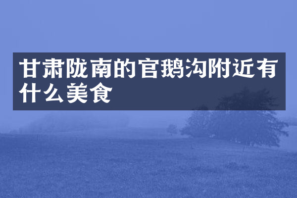 甘肃陇南的官鹅沟附近有什么美食