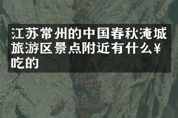 江苏常州的中国春秋淹城旅游区景点附近有什么好吃的